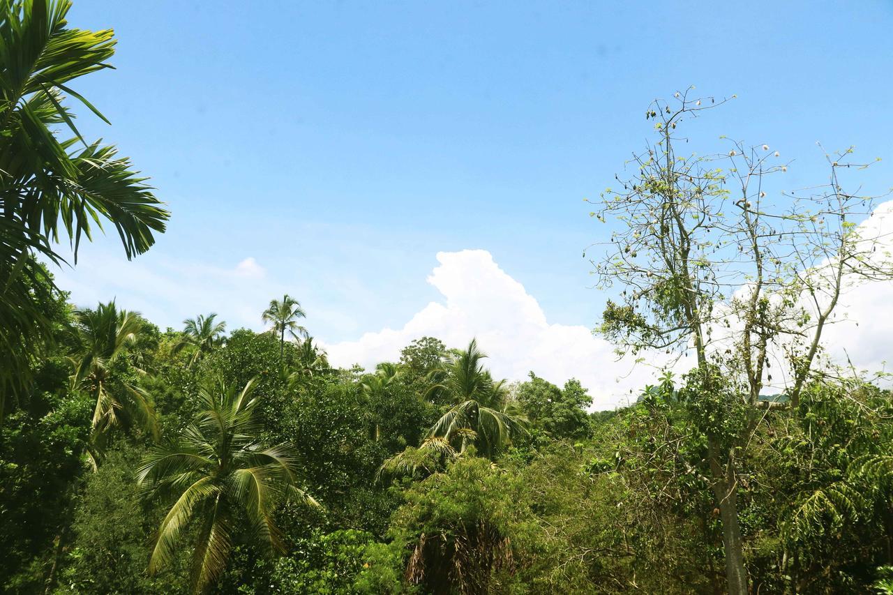 Villa Royce Kandy Exteriör bild