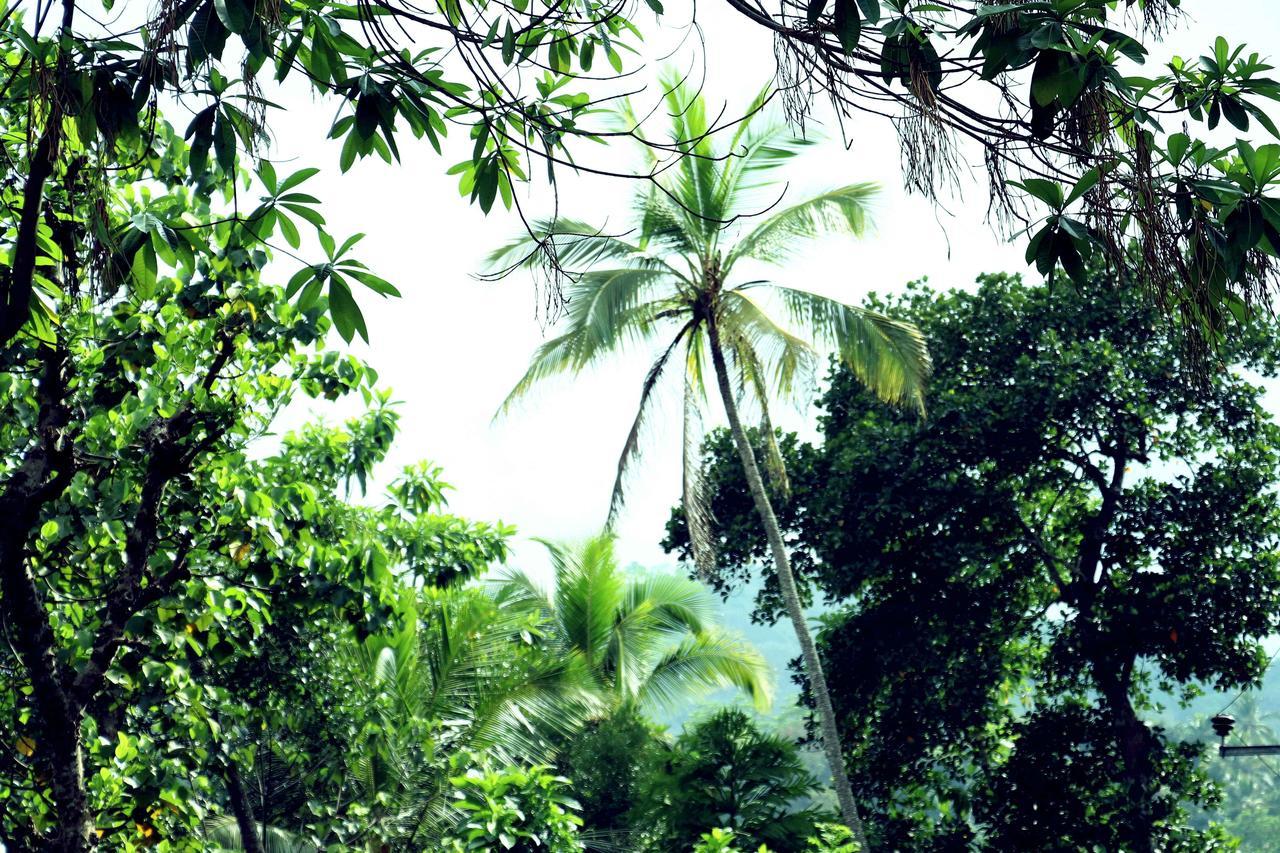 Villa Royce Kandy Exteriör bild