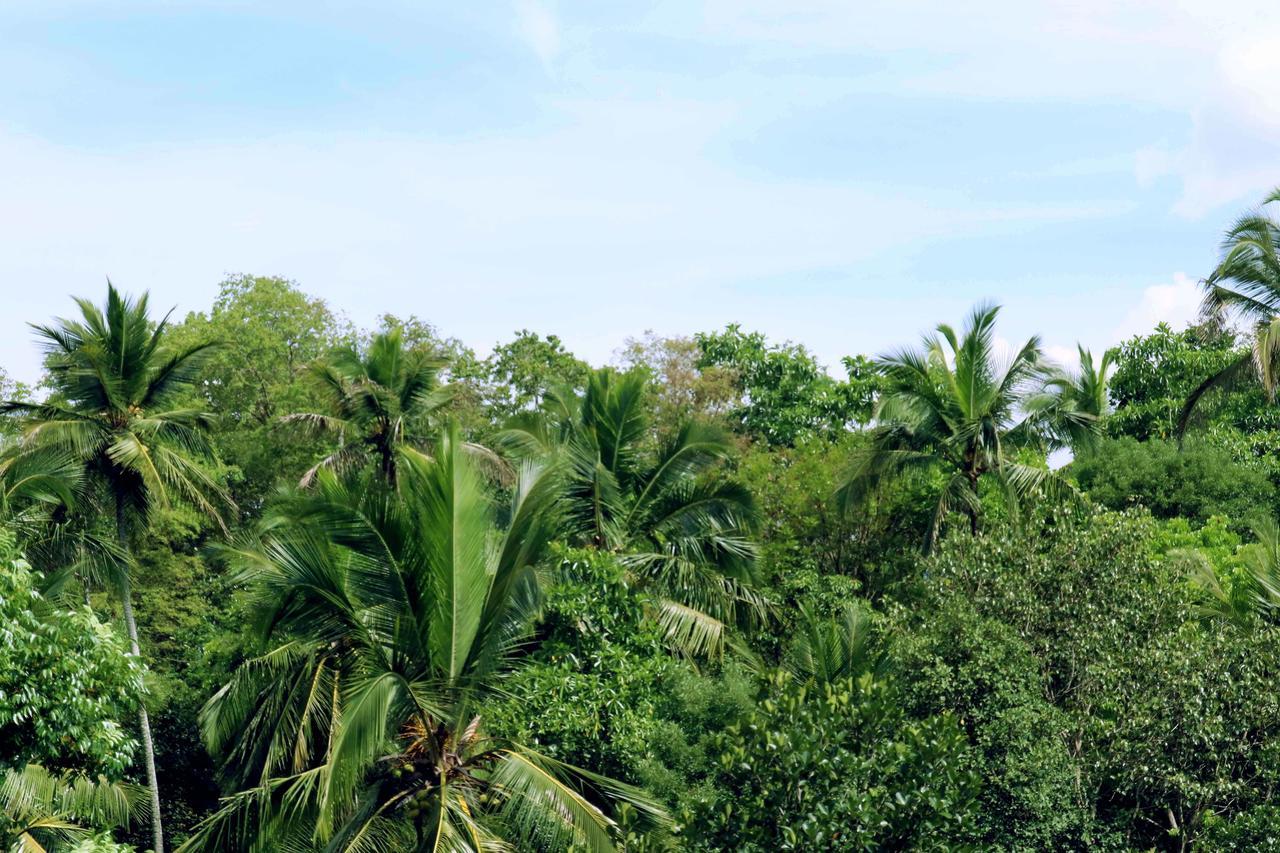 Villa Royce Kandy Exteriör bild